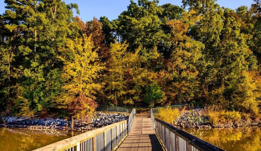 Wooden bridge over a calm lake surrounded by autumn trees