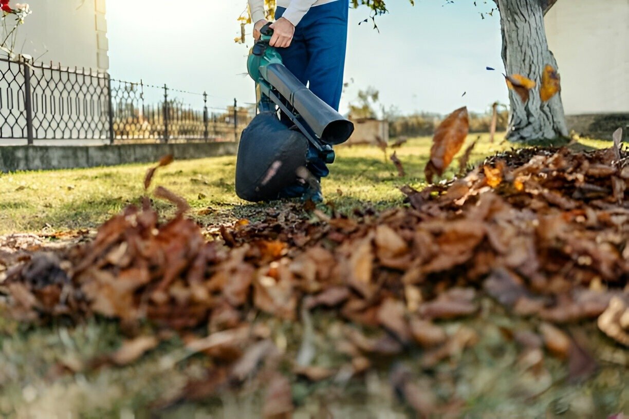 Junk Removal Services in Raleigh